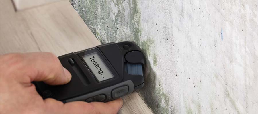 mold palm west testing inspection florida inspections